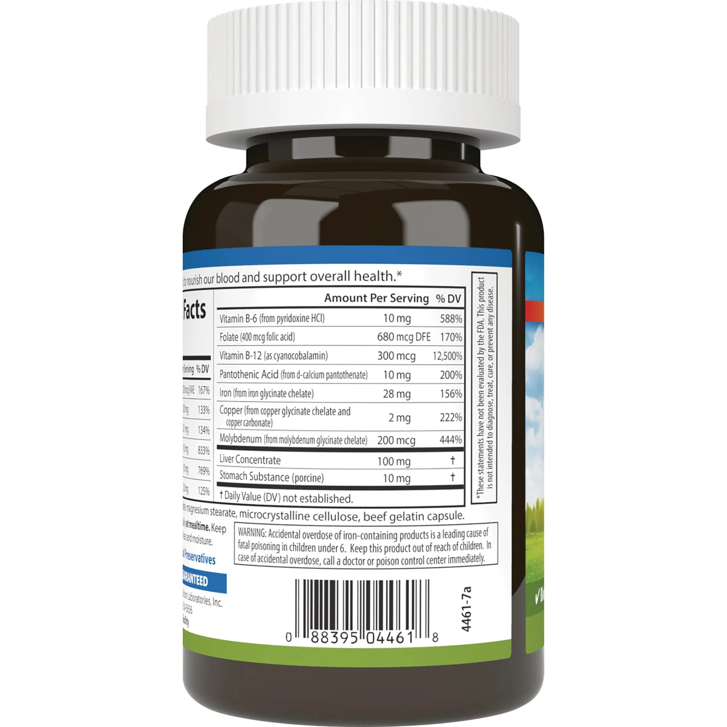 Blood Nutrients - Image 3