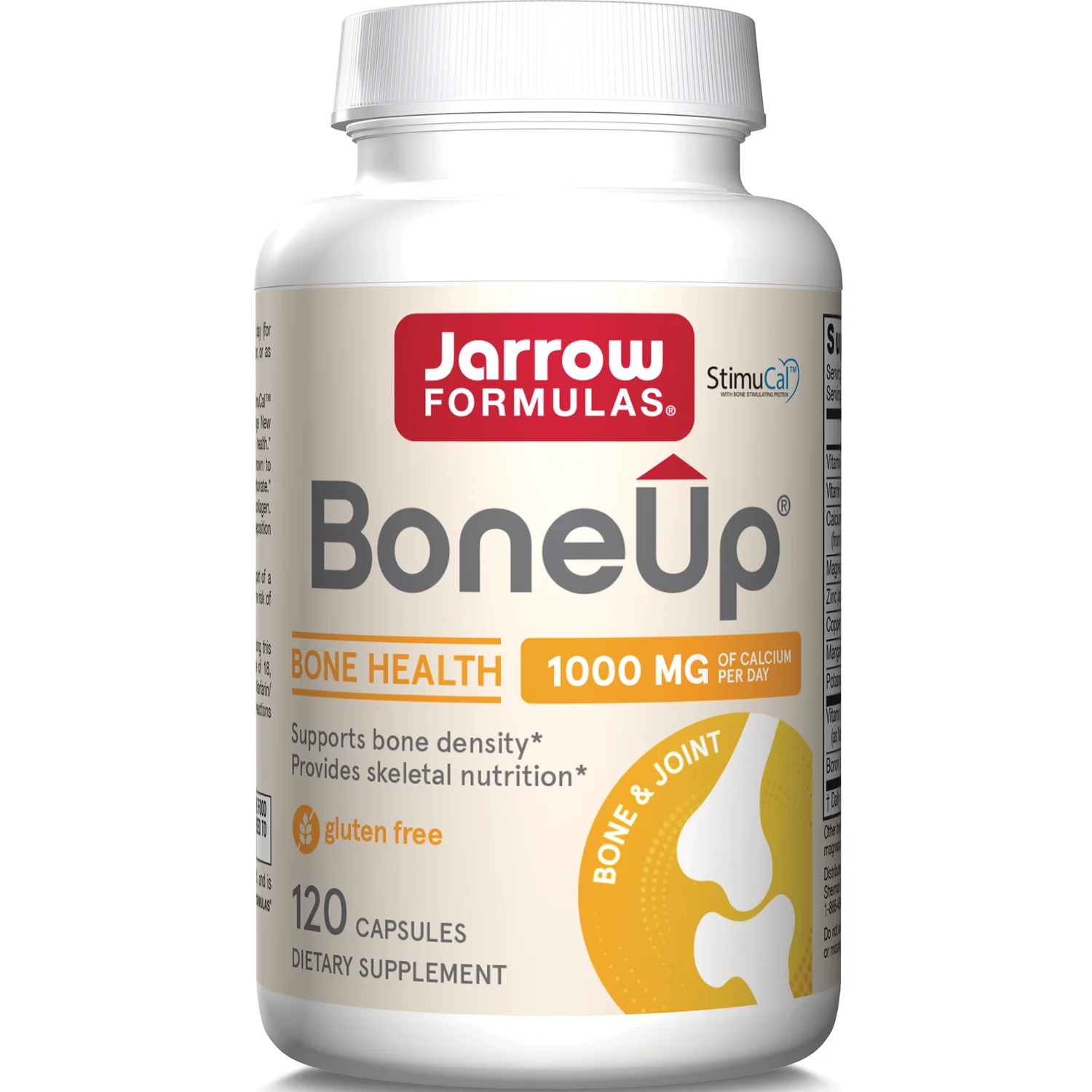 BoneUp - Image 2