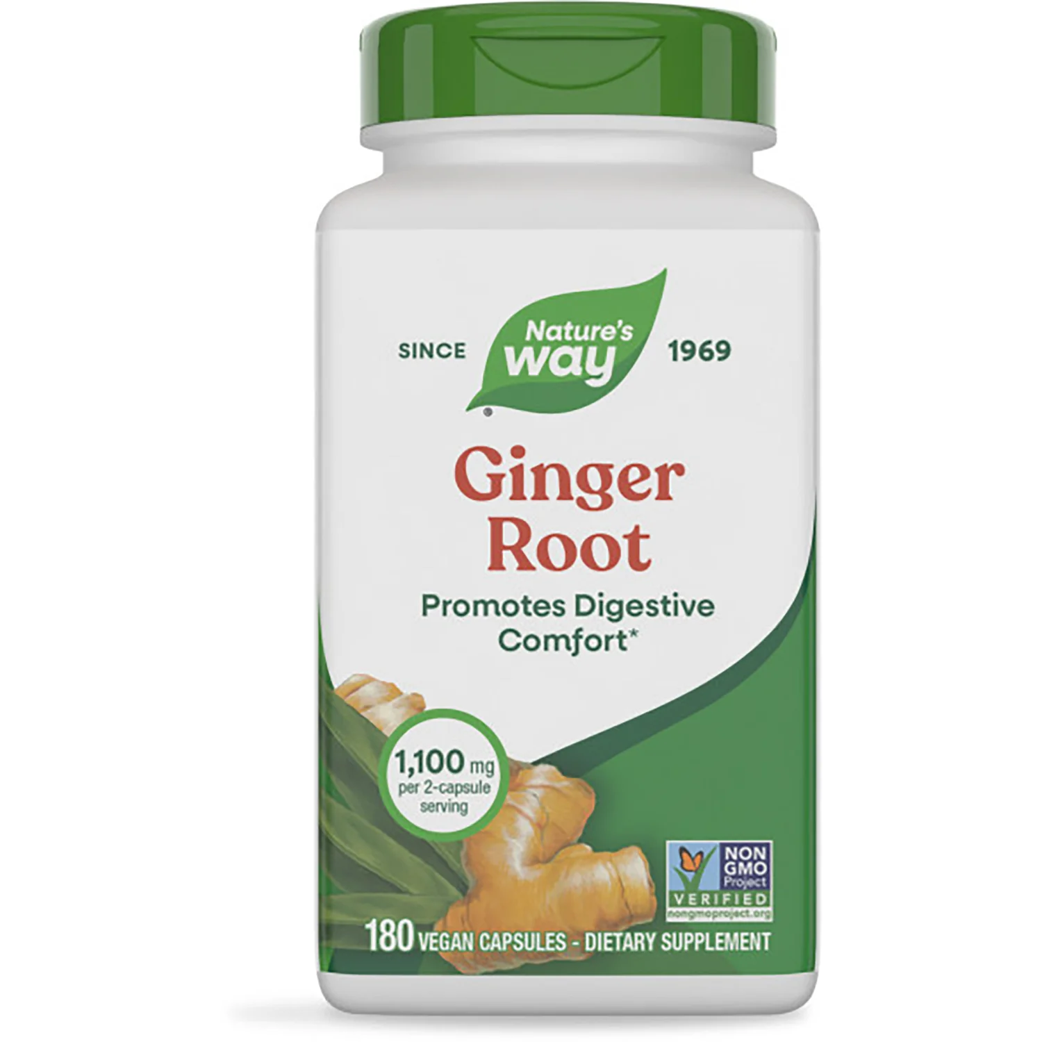 Ginger Root - Image 2
