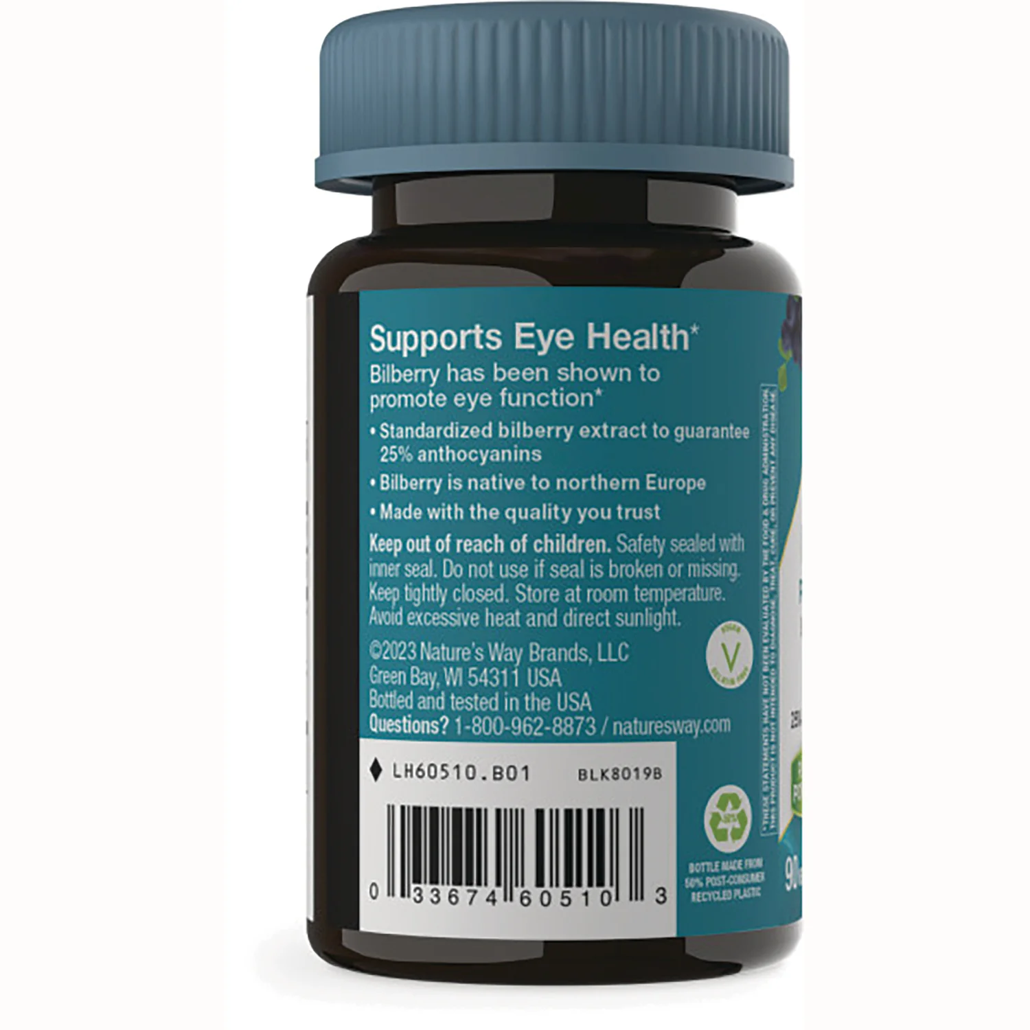 Bilberry Premium Extract - Image 3
