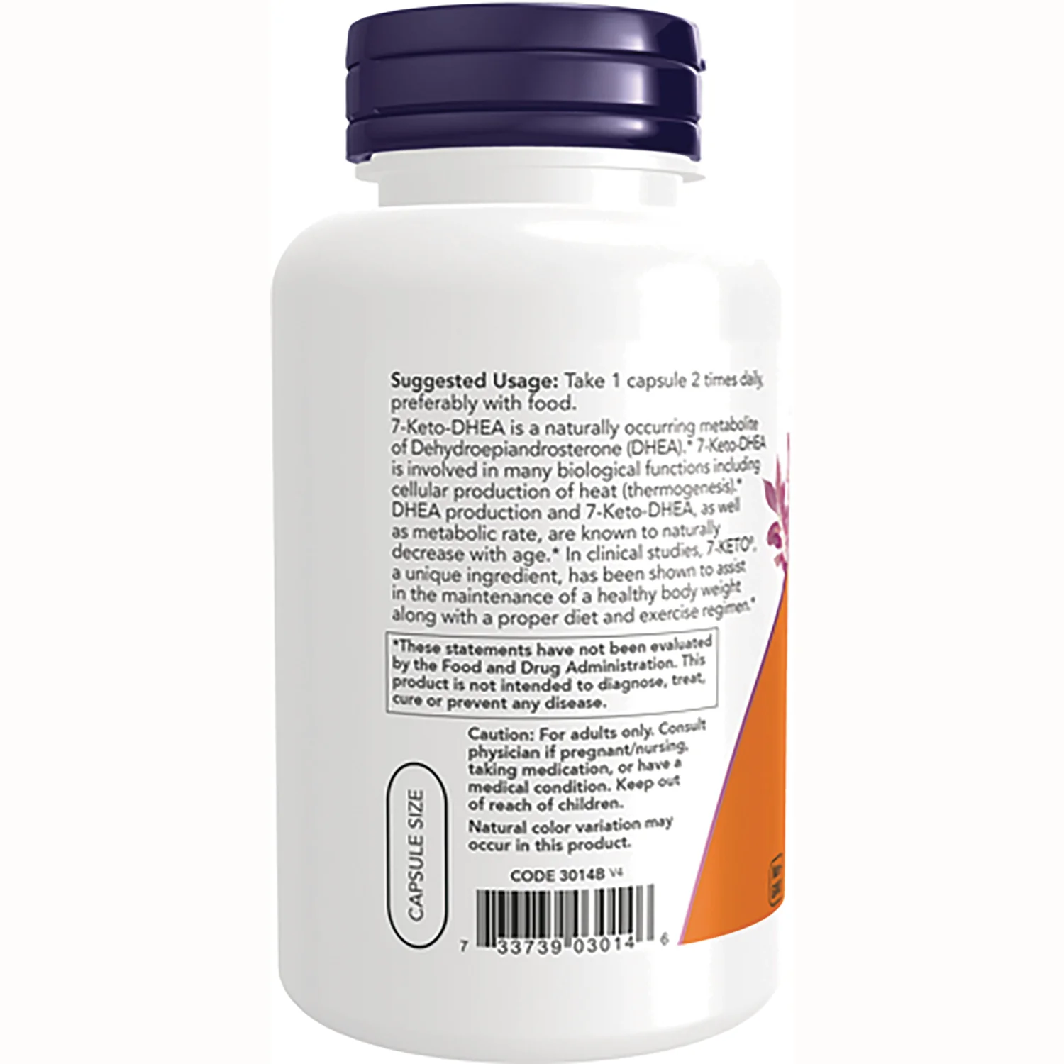 7-Keto - Image 3