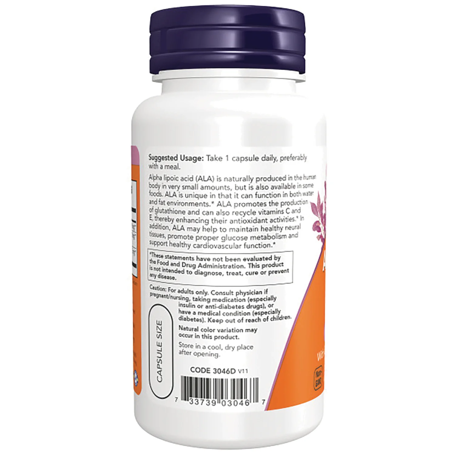 Extra Strength Alpha Lipoic Acid - Image 3