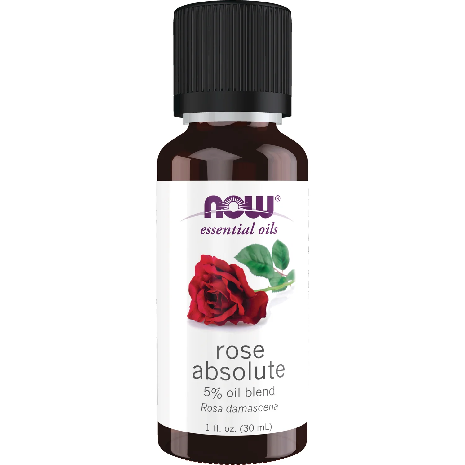Rose Absolute 5% Oil Blend