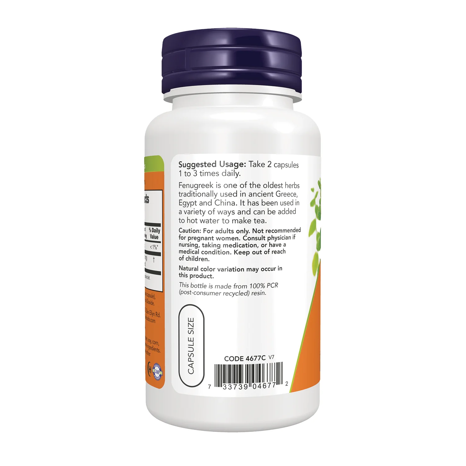Fenugreek - Image 3
