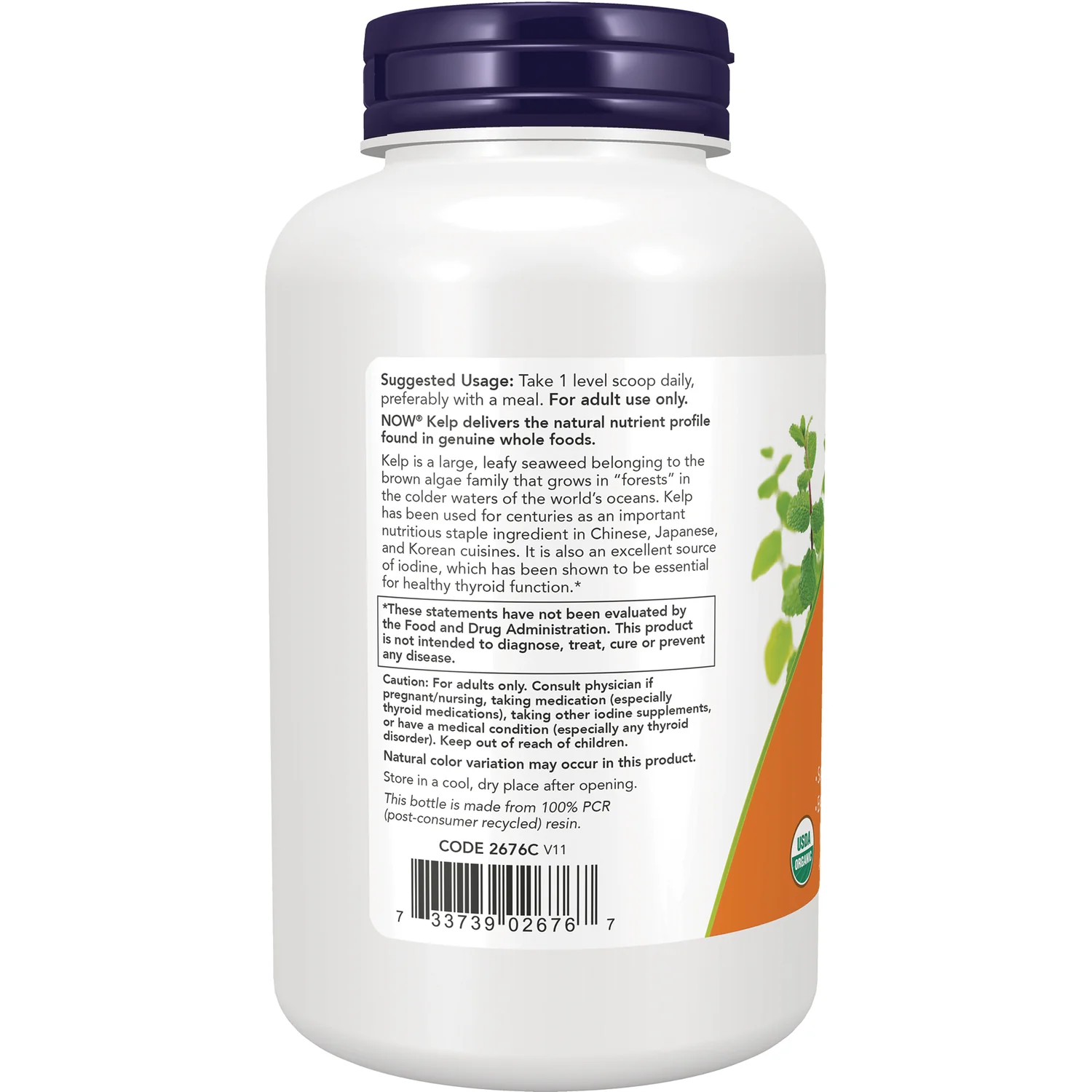 Organic Kelp Pure Powder - Image 3