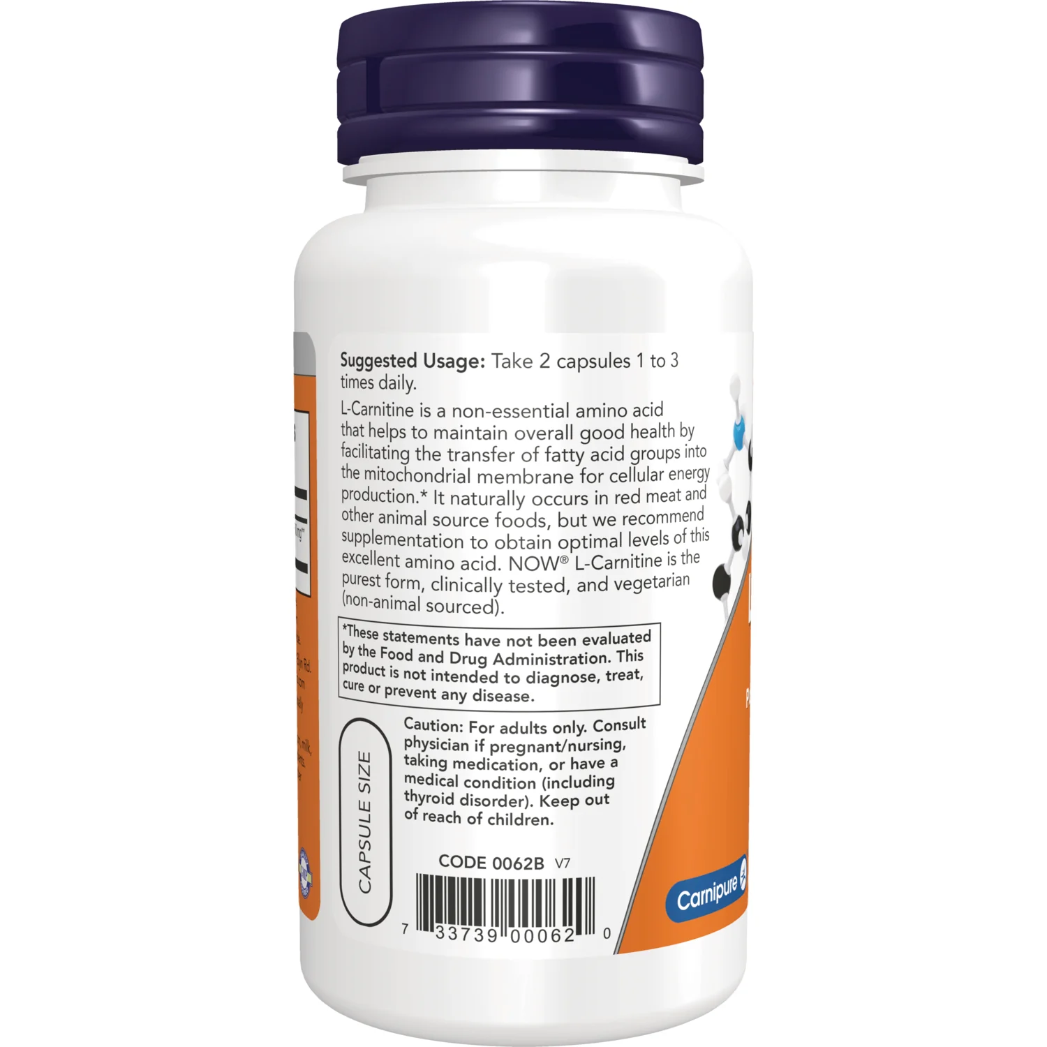 L-Carnitine - Image 3