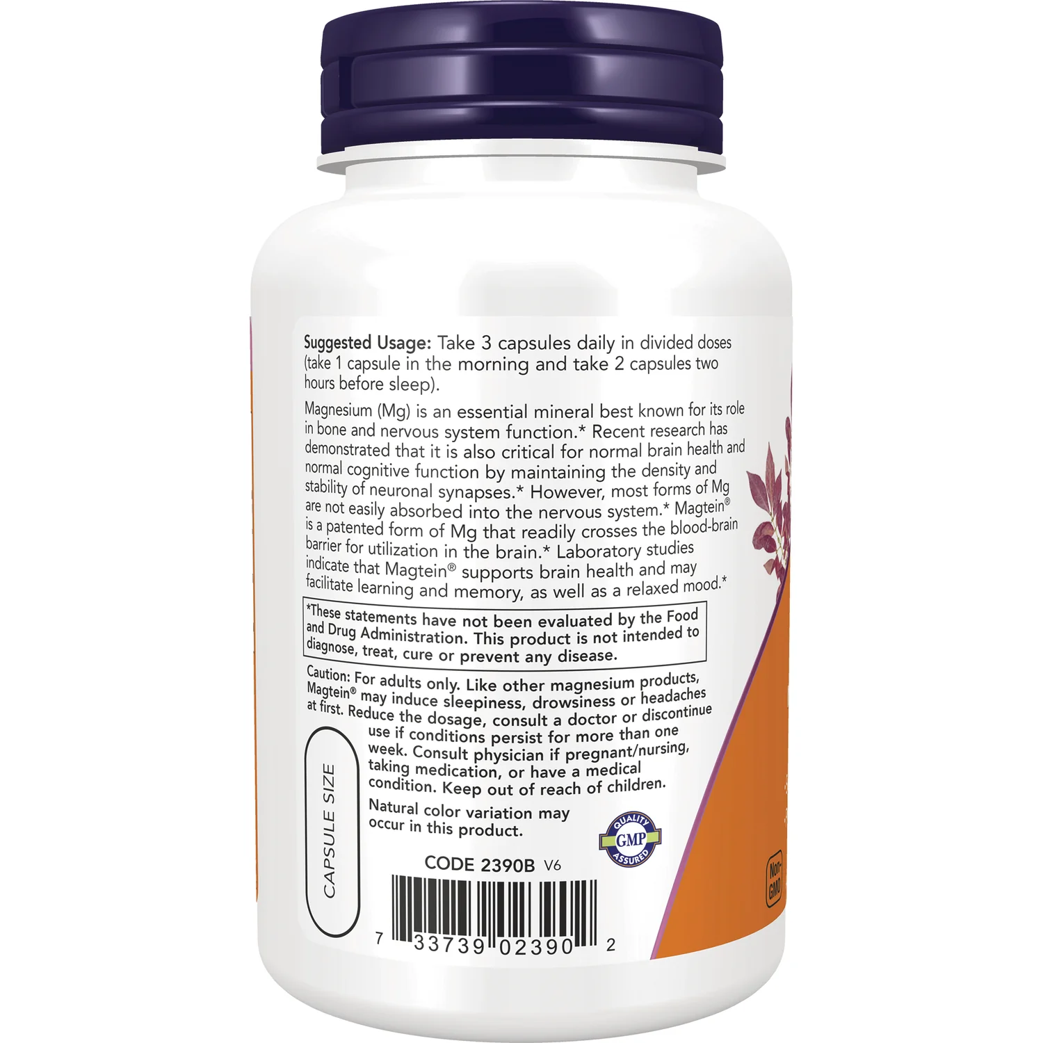 Magtein - Magnesium L-Threonate - Image 3