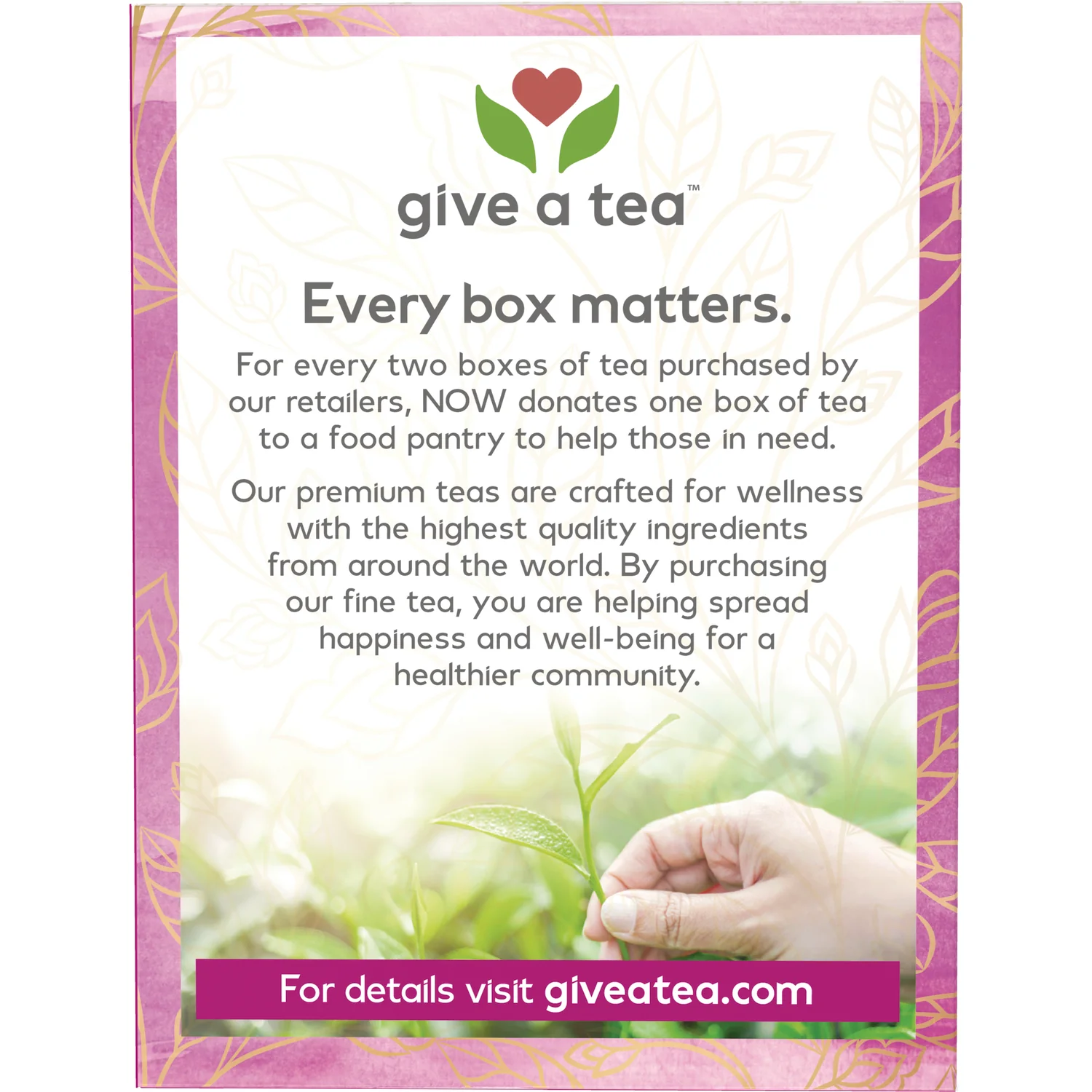 Ojibwa Native American Herbal Tea - Image 4