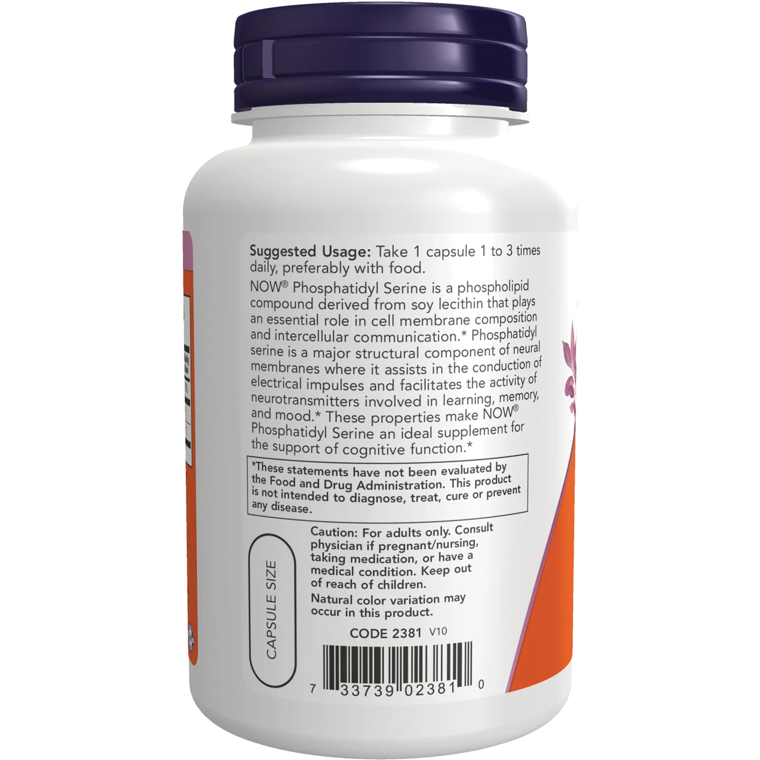 Phosphatidyl Serine - Image 3