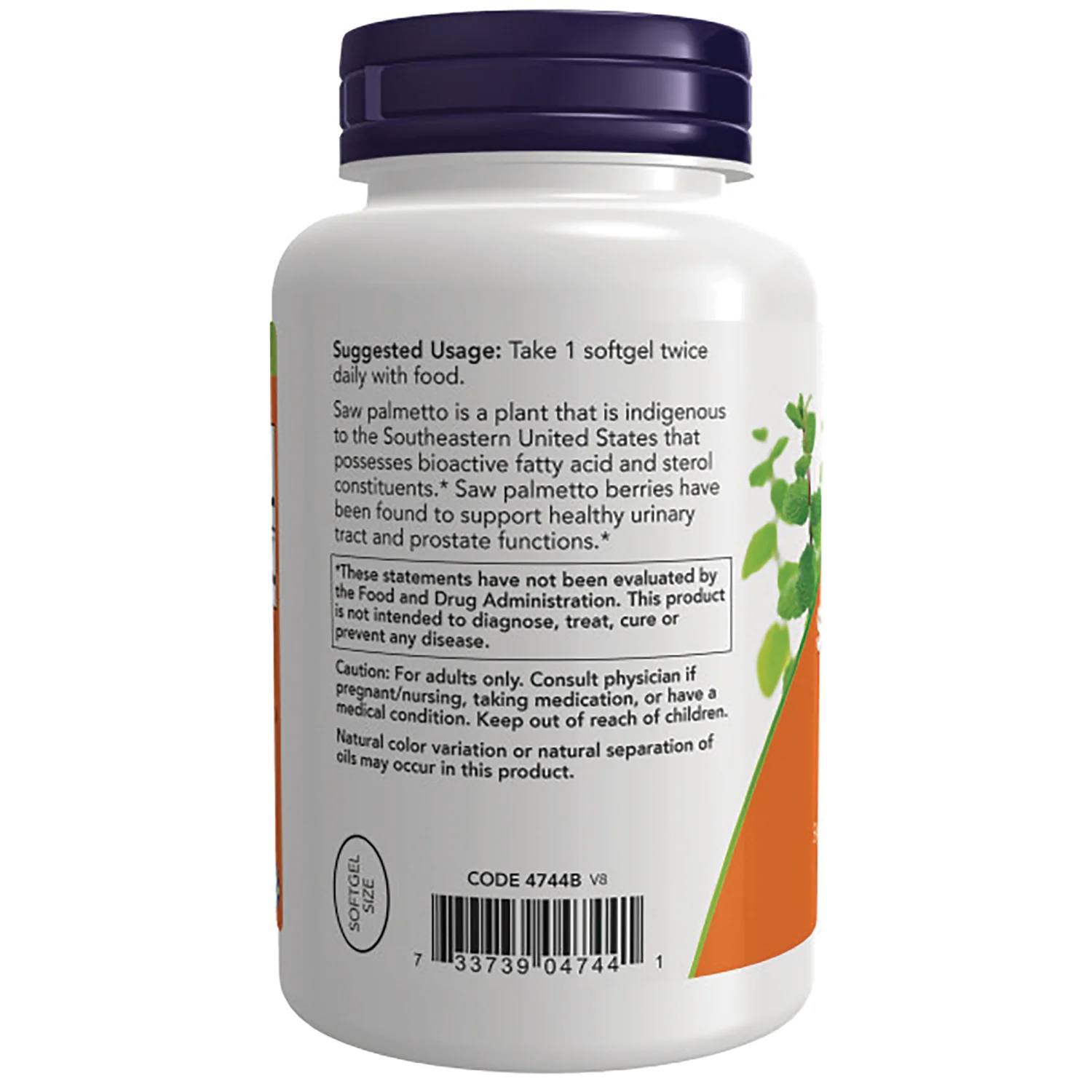Saw Palmetto Extract - Image 3