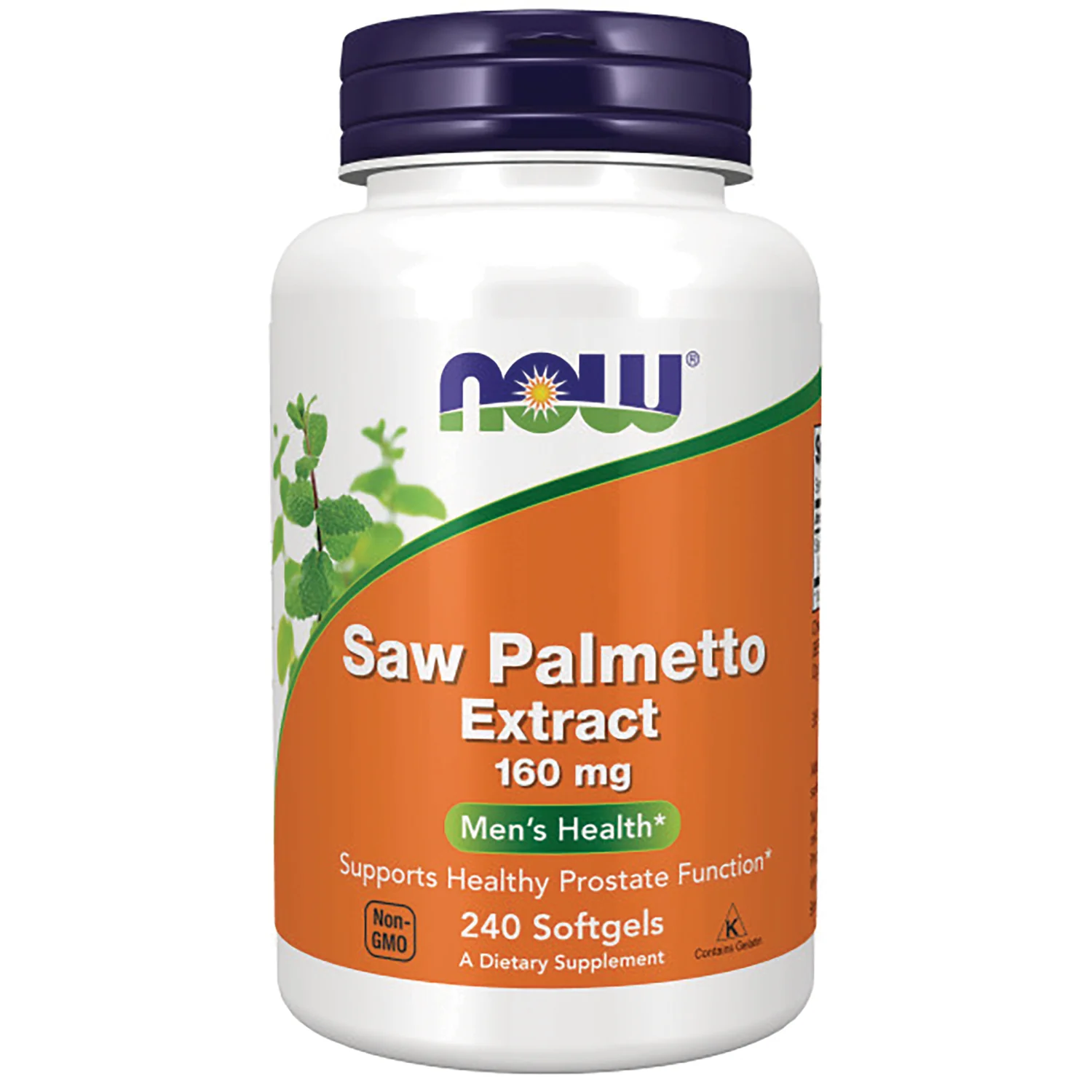 Saw Palmetto Extract - Image 2