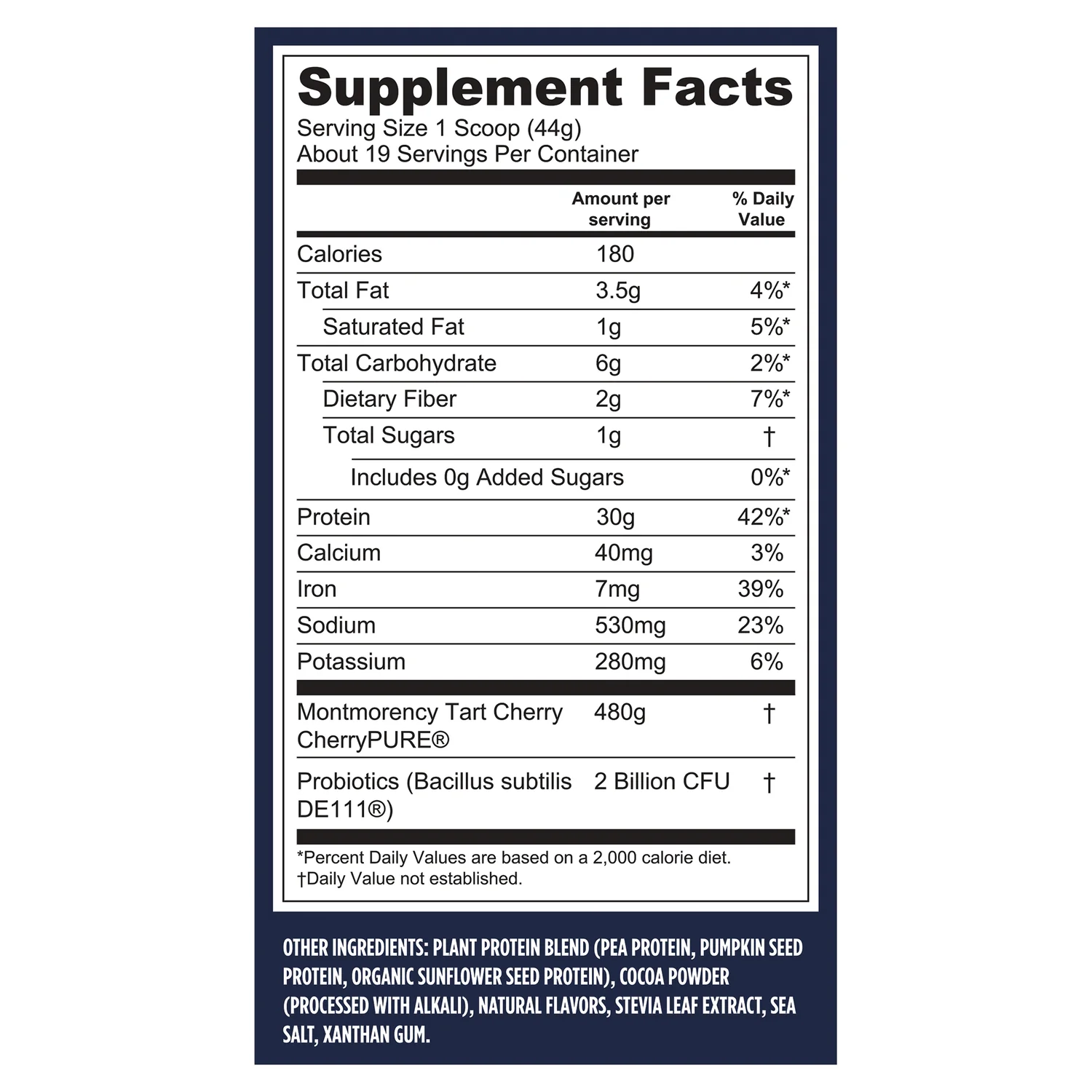 Protein + Recovery - Creamy Chocolate - Image 2